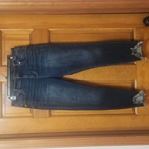 Liverpool Blue Denim Jeans, Women's Size 10 Petite, Ankle Skinny,  EUC